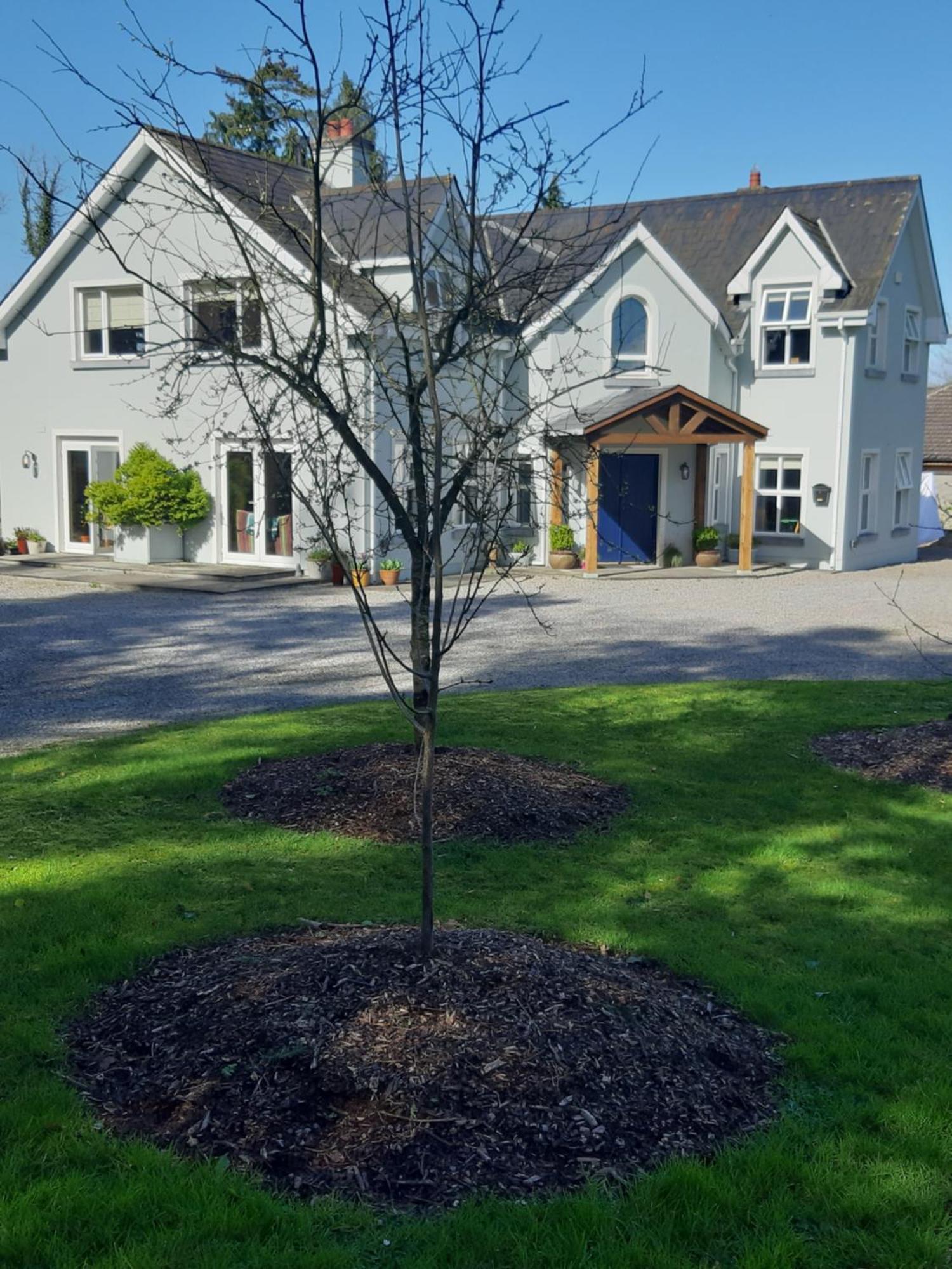 Kyleard Ryan Bed & Breakfast Monasterevin Luaran gambar